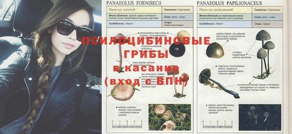 сатива Лагань