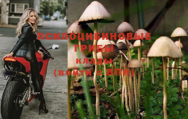не бодяженный Ладушкин
