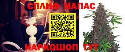 дмт Гай