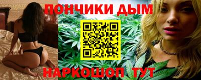 дмт Гай
