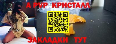 дмт Гай