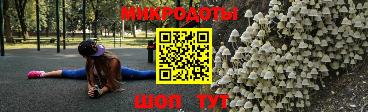 Псилоцибиновые грибы Psilocybine cubensis Похвистнево